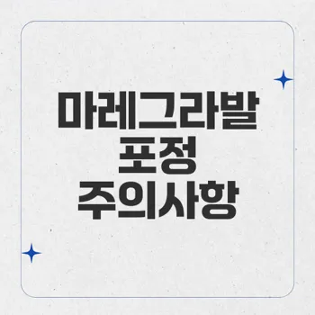 마레그라발포정, 복용 시 주의사항 및 심혈관계 위험성