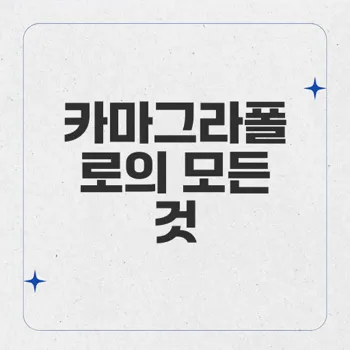 카마그라폴로: 발기부전 치료의 새로운 선택지, 효과 및 복용법 소개